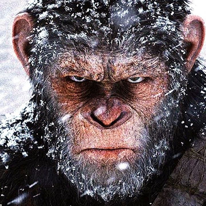 War for the Podcast of the Apes