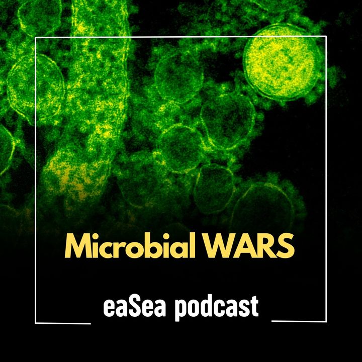 Le Microbial Wars e il ciclo della materia organica
