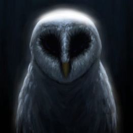 The Messengers: Owls, Synchronicities, And Alien Abduction With Mike Clelland