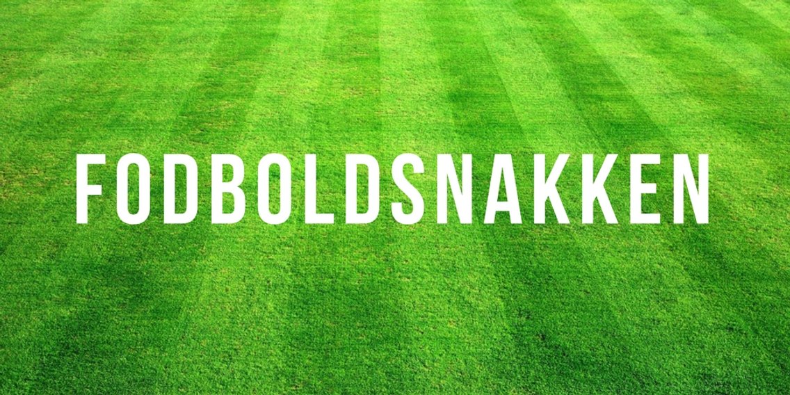 Fodboldsnakken - Cover Image