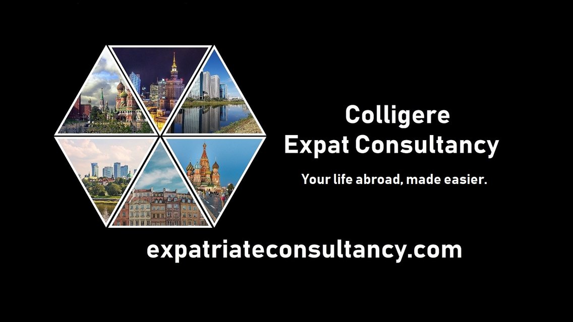 The Expatriate Consultancy - Cover Image