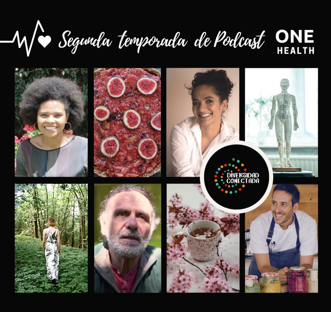 Diversidad Conectada - Cover Image