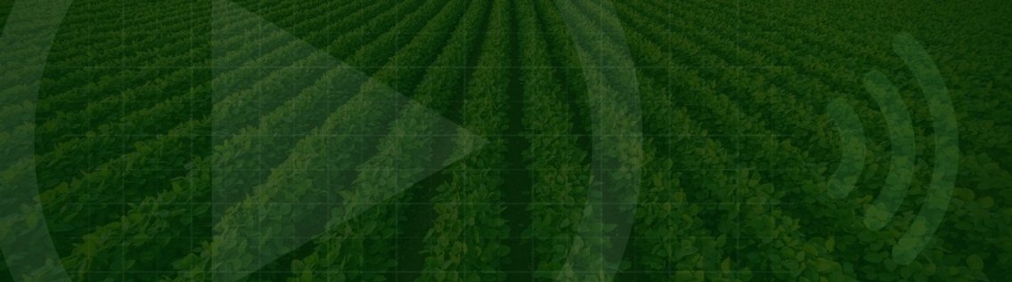 Agrolink News - Cover Image