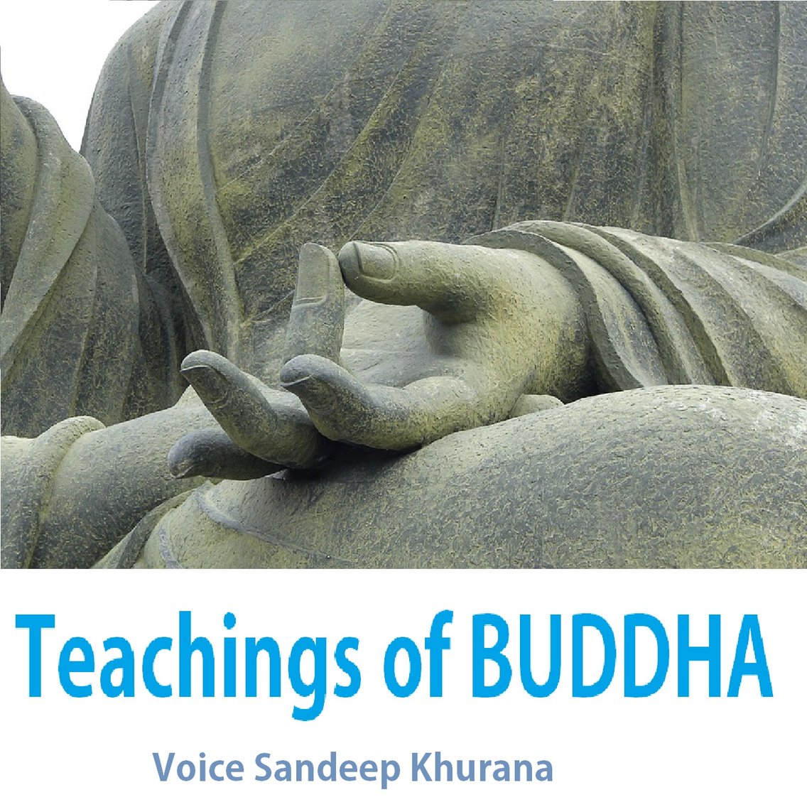 Teachings of Buddha - imagen de portada
