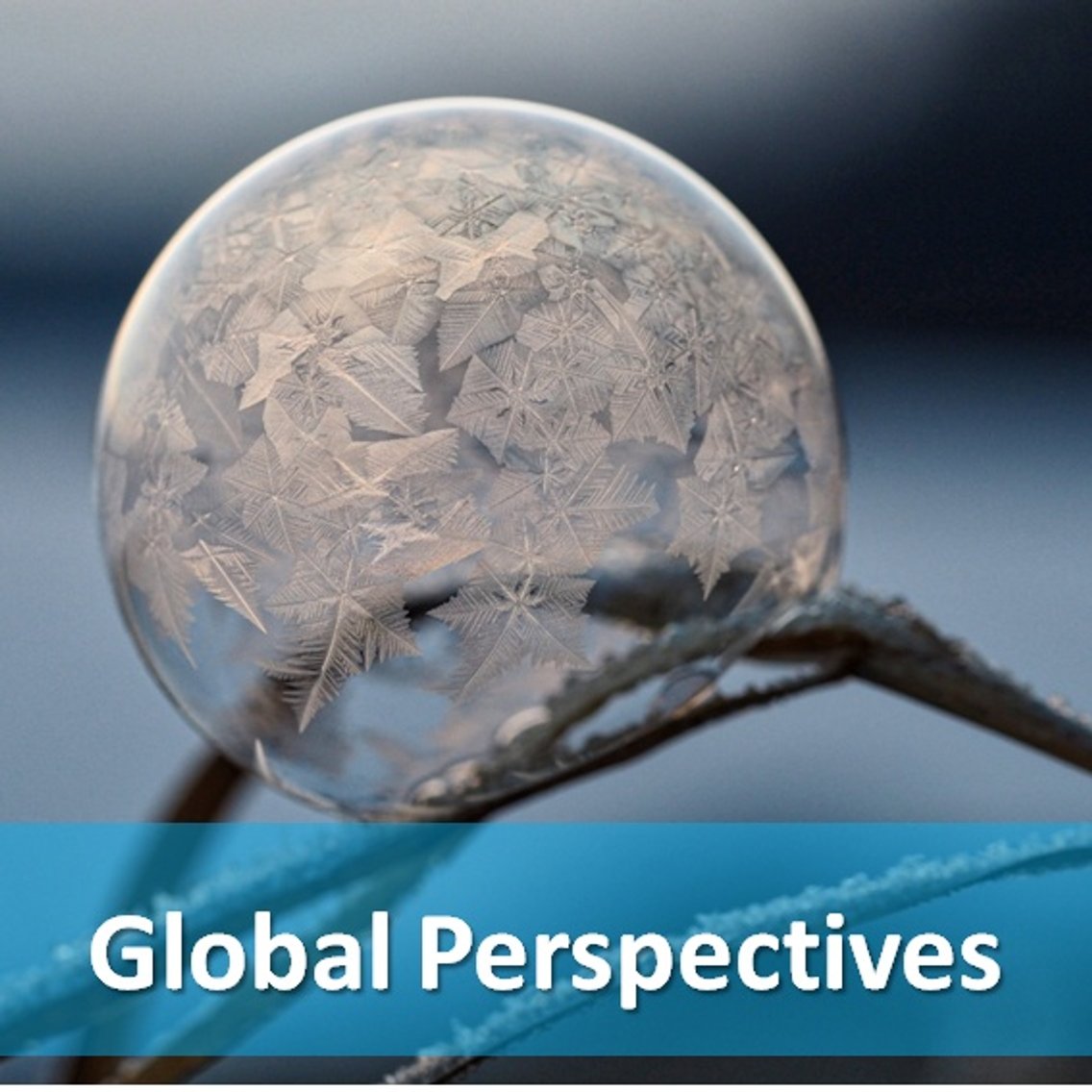 Global Perspectives - Cover Image