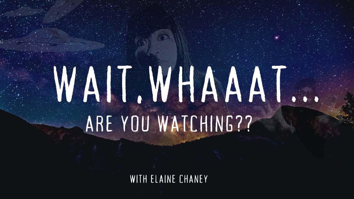 Wait, Whaaat Are You Watching!? - Cover Image
