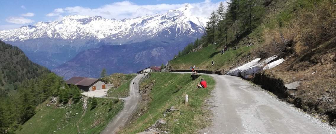53x11 - Podcast sul ciclismo - Cover Image