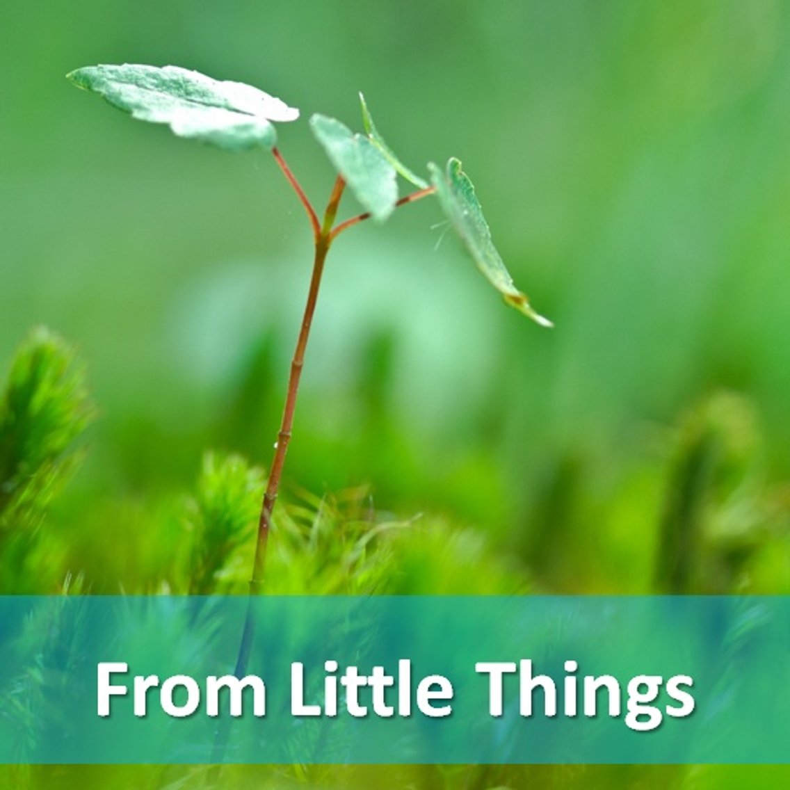 From Little Things - Cover Image