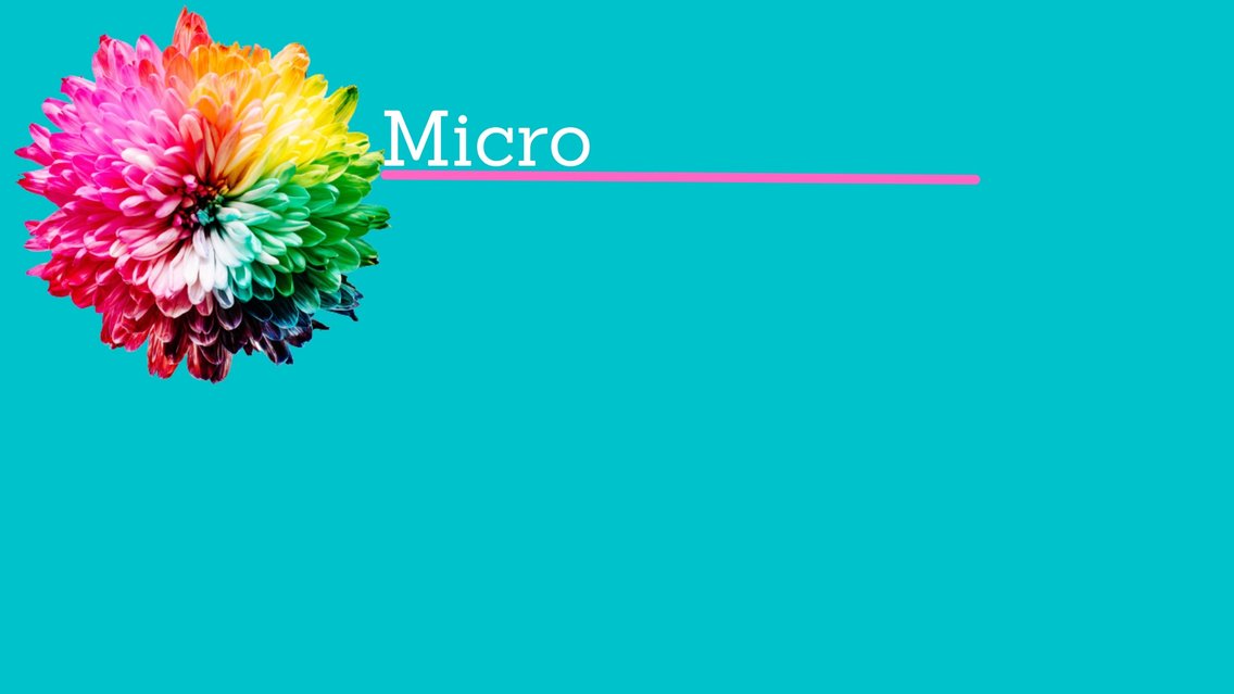 Micro - Cover Image