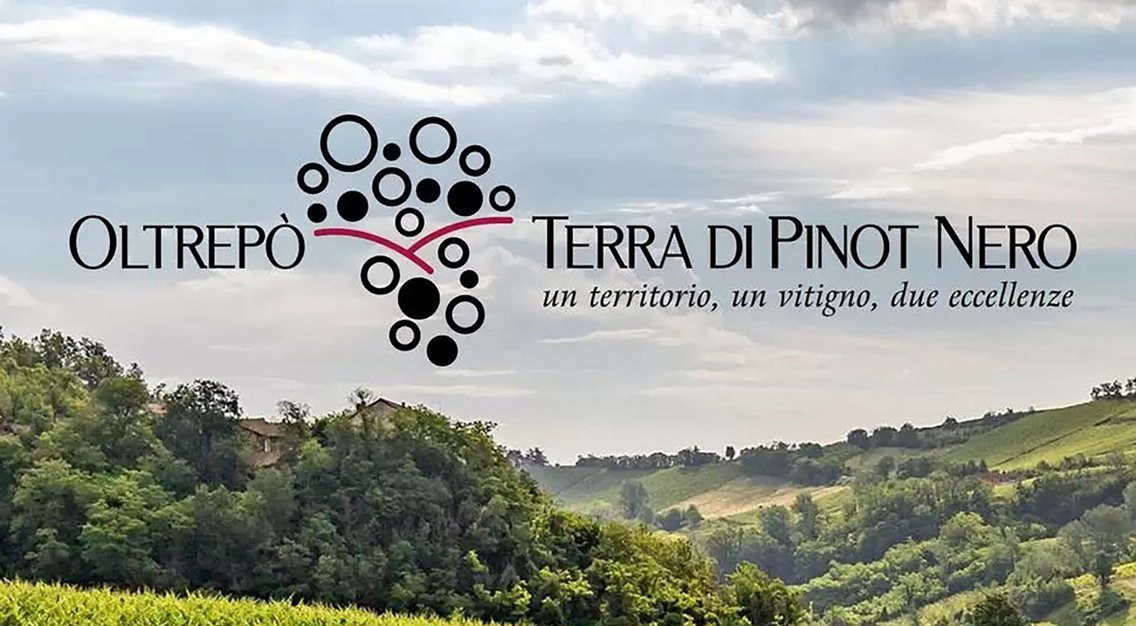 Oltrepò Terra di Pinot Nero - Cover Image