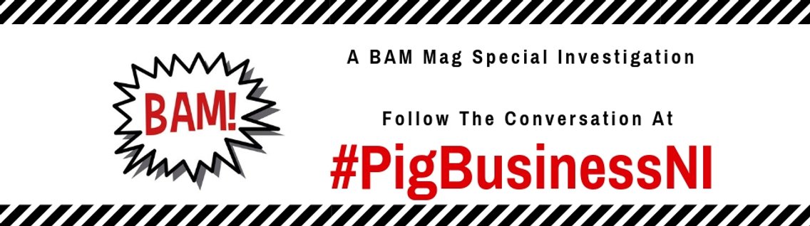 BAM Mag Special Report - #PigBusinessNI - Cover Image