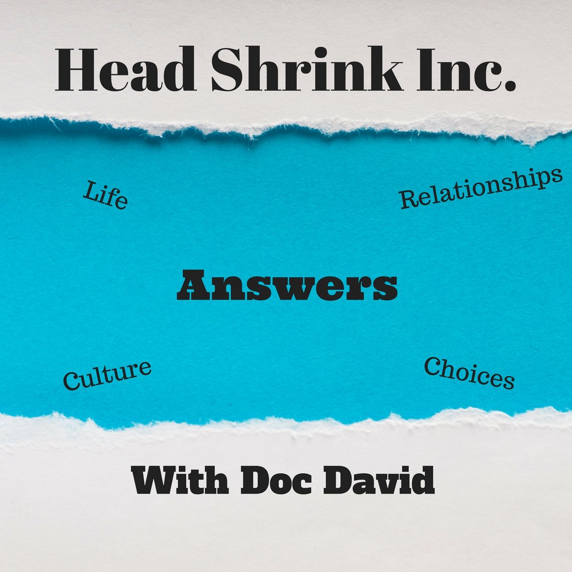 Head Shrink Inc. - Cover Image