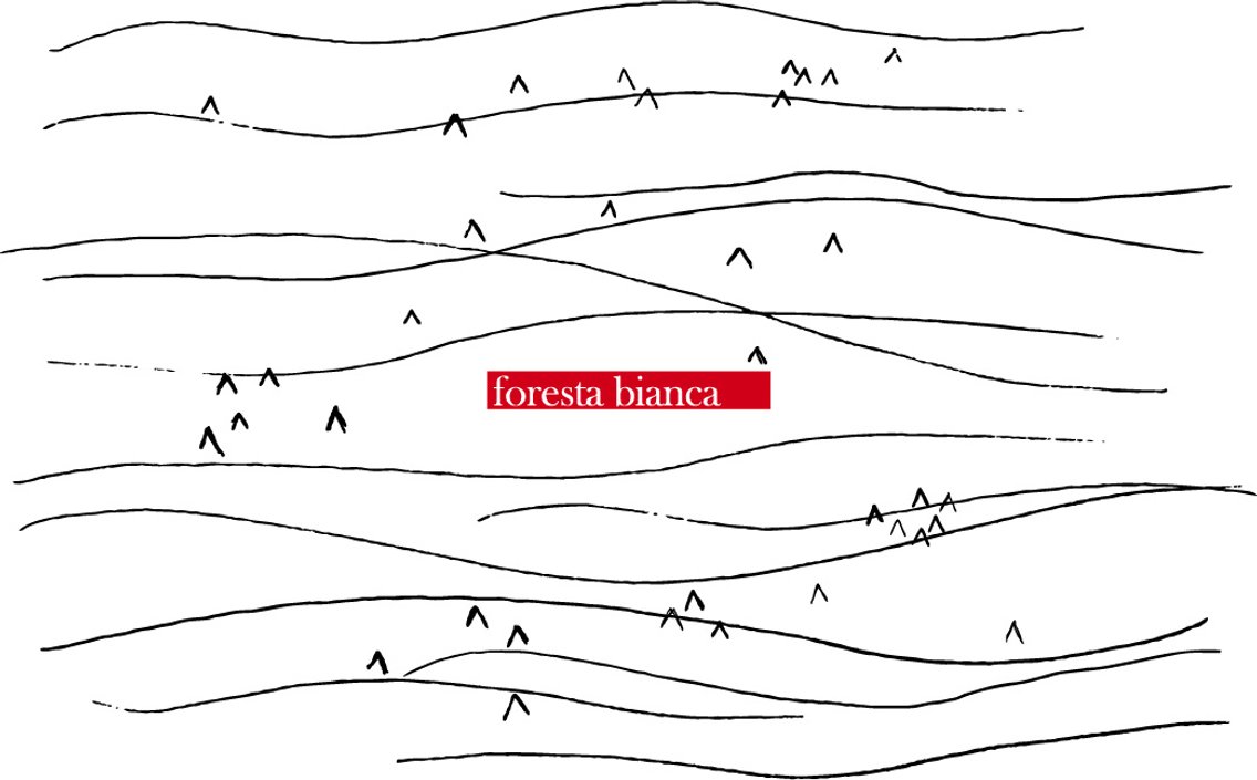 Foresta Bianca - Cover Image