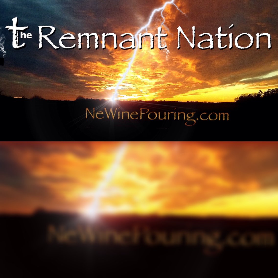 The Remnant Nation - Cover Image