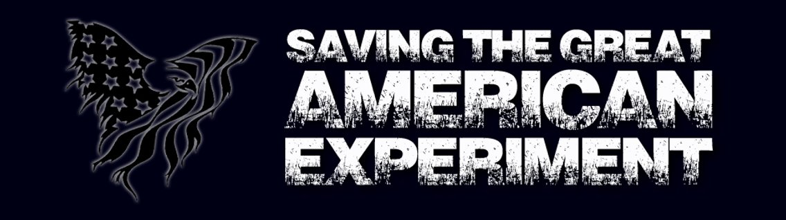 Saving the Great American Experiment - Cover Image
