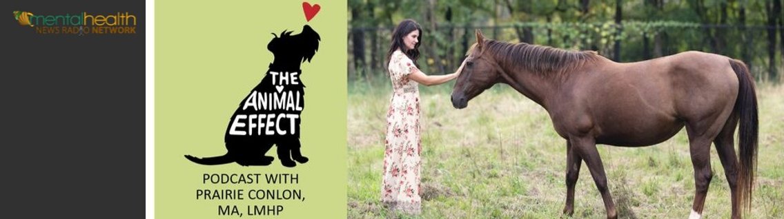 The Animal Effect - Cover Image