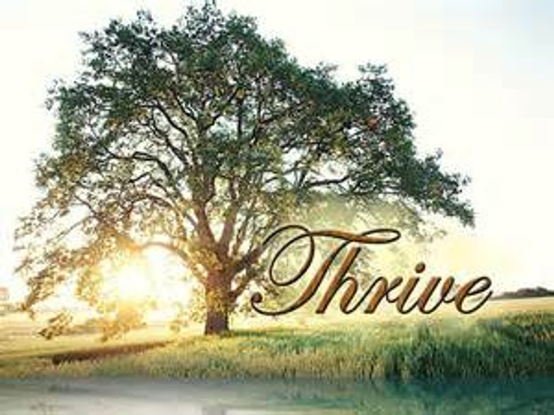 Thriving In Unlikely Circumstances#9 - Cover Image