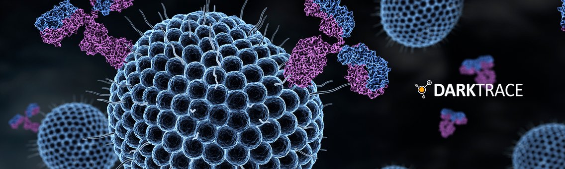 IMMUNE | Cybersecurity - Cover Image