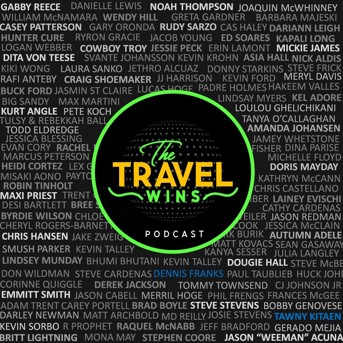 The Travel Wins - immagine di copertina
