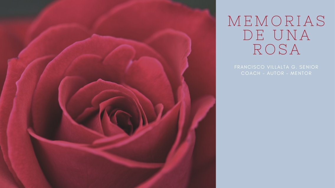 Memorias de una rosa - Cover Image
