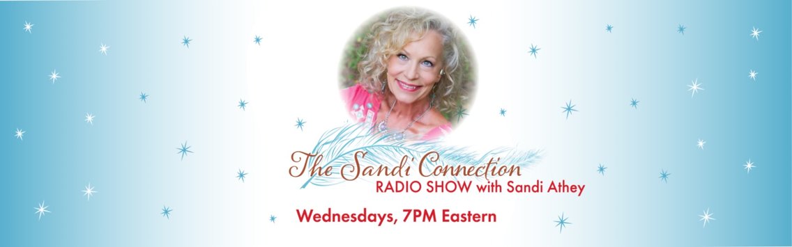 The Sandi Connection - Cover Image
