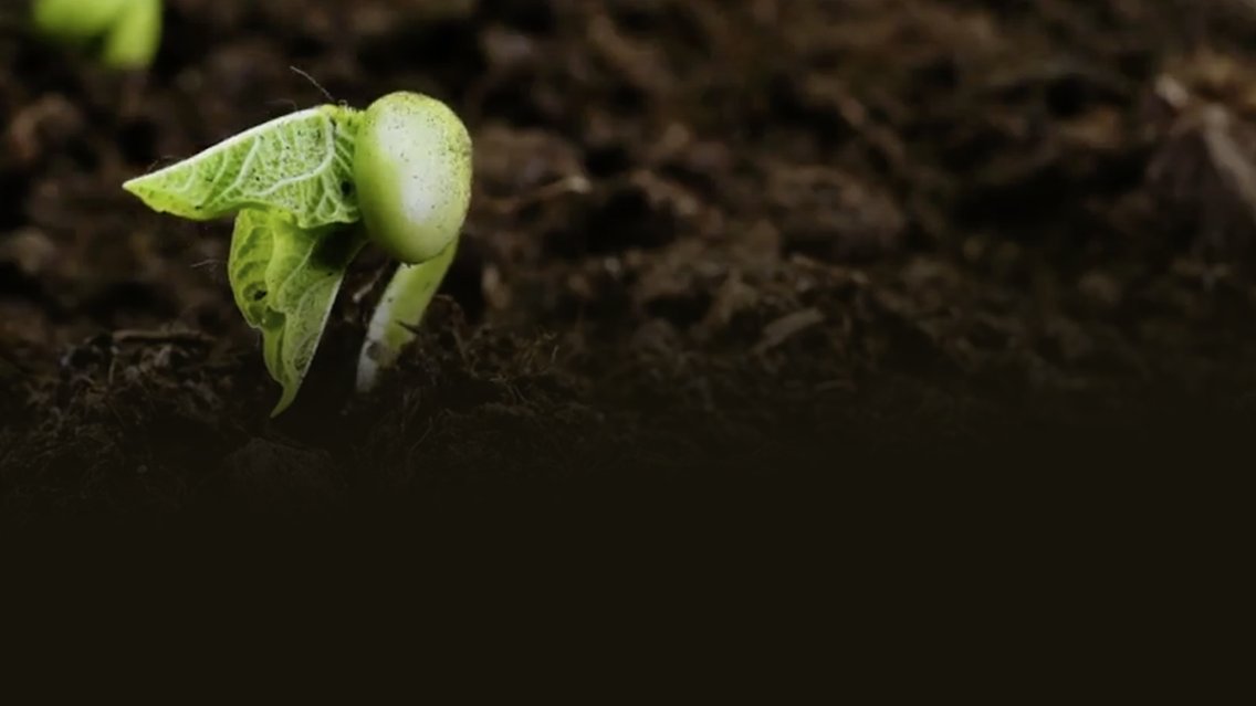 Le news di Re Soil Foundation - Cover Image
