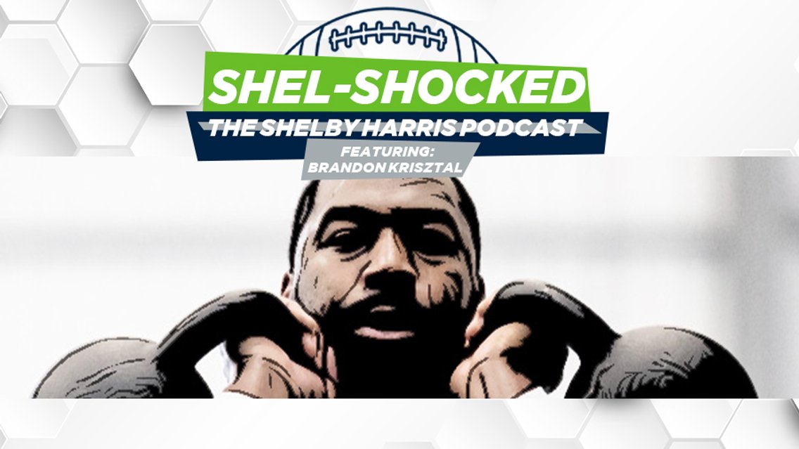 Shel-Shocked - Cover Image