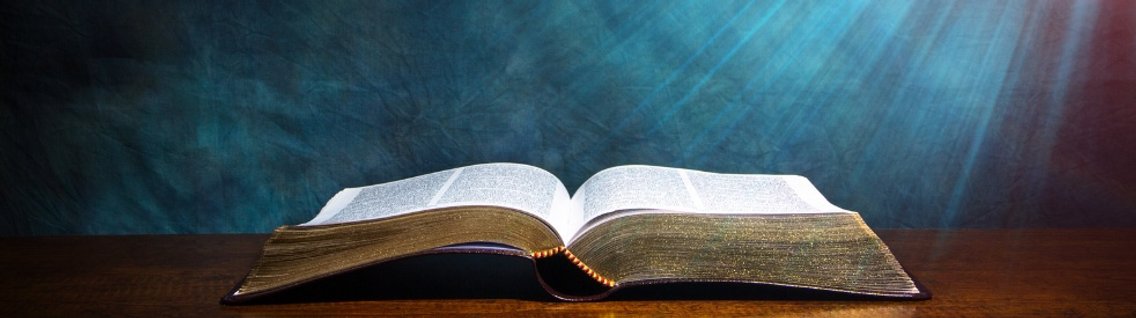 Biblia na każdy dzień - Cover Image