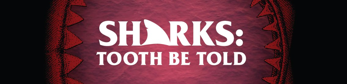 Sharks: Tooth Be Told - immagine di copertina
