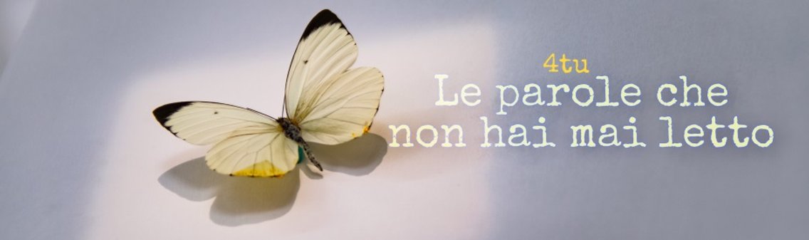 Le parole che non hai mai letto - Cover Image
